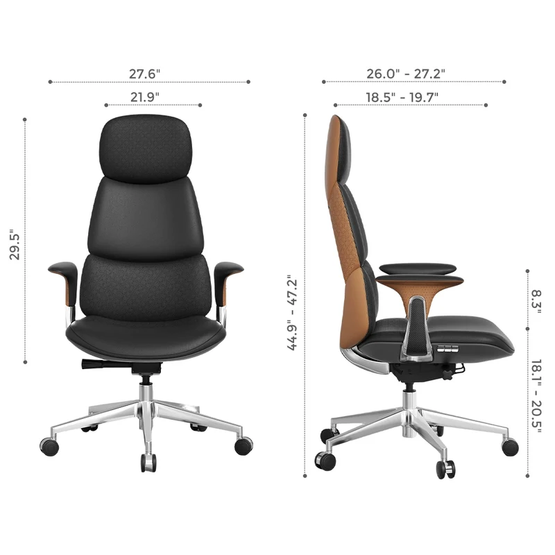 Omidi-Nolan Leather Chair with Classic Design