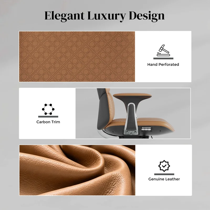 Omidi-Nyla Leather Chair with Easy Adjustment