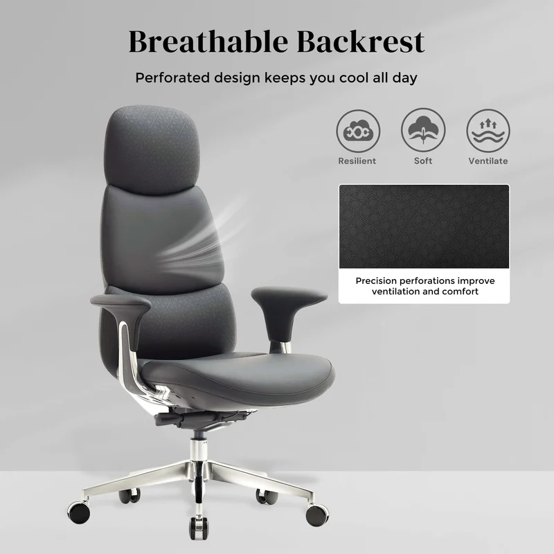 Omidi-Nyla Leather Chair with Easy Adjustment