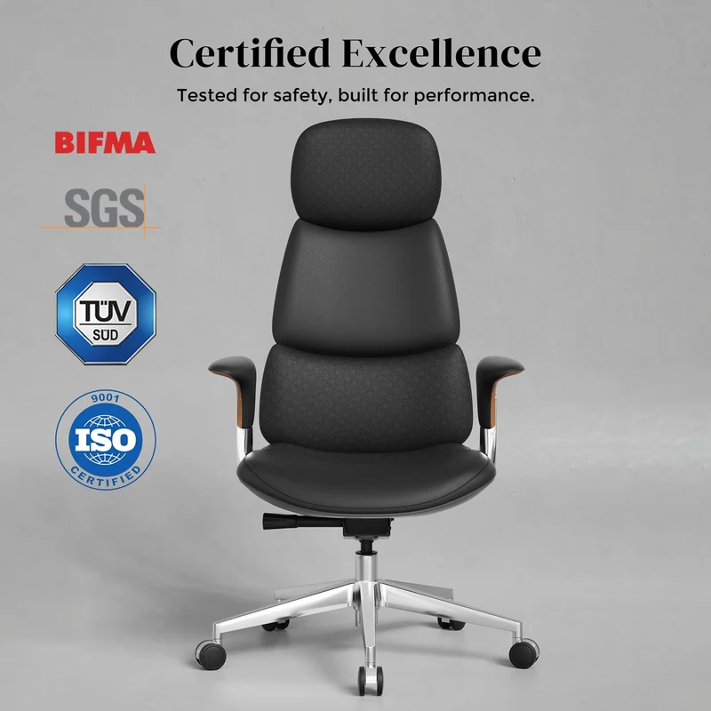 Omidi-Nyla Leather Chair with Easy Adjustment