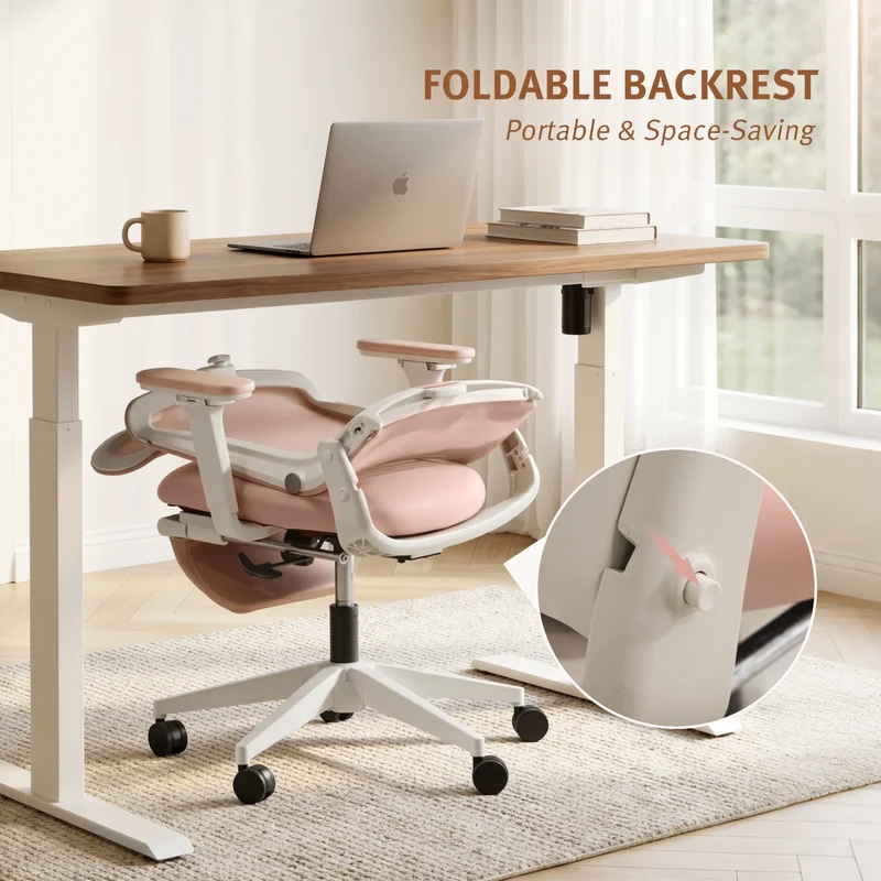 Welax S4 – Ergonomic Office Chair with Foldable Backrest