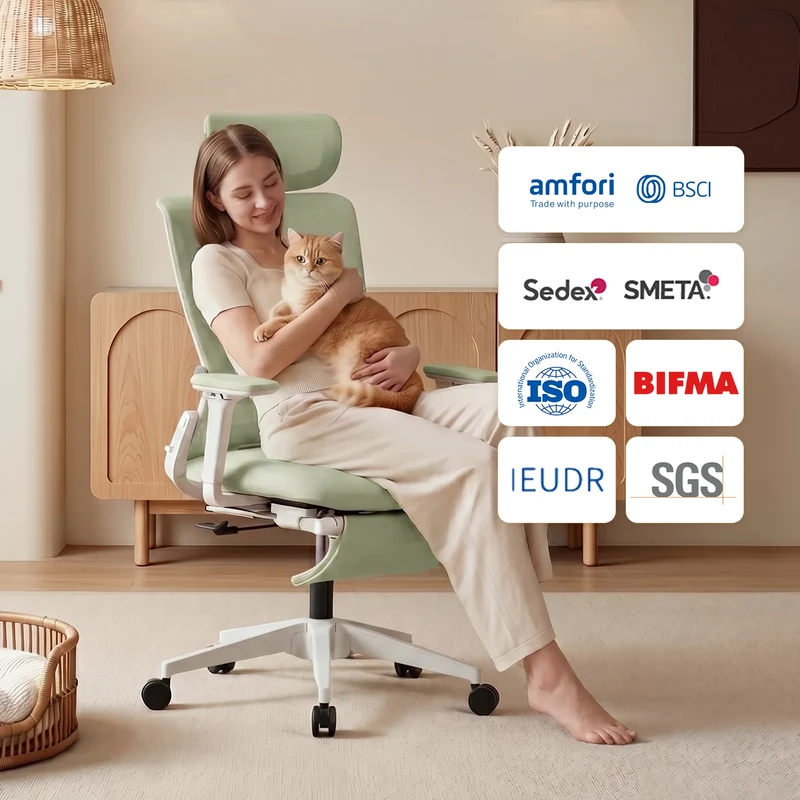 Welax S4 – Ergonomic Office Chair with Foldable Backrest