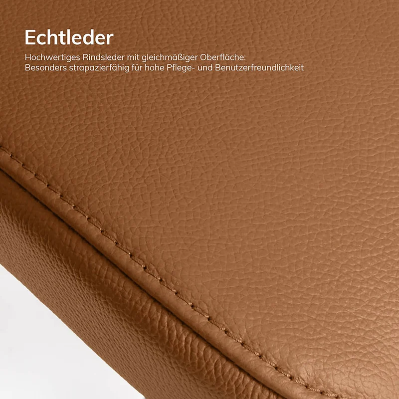 Ergonomischer Bürostuhl Echtleder lento Matrix MT14