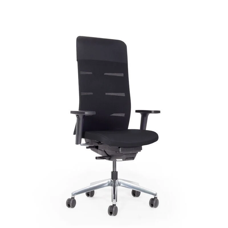 Ergonomischer Bürostuhl Netzrücken Agilis Matrix MT13 | Schwarz