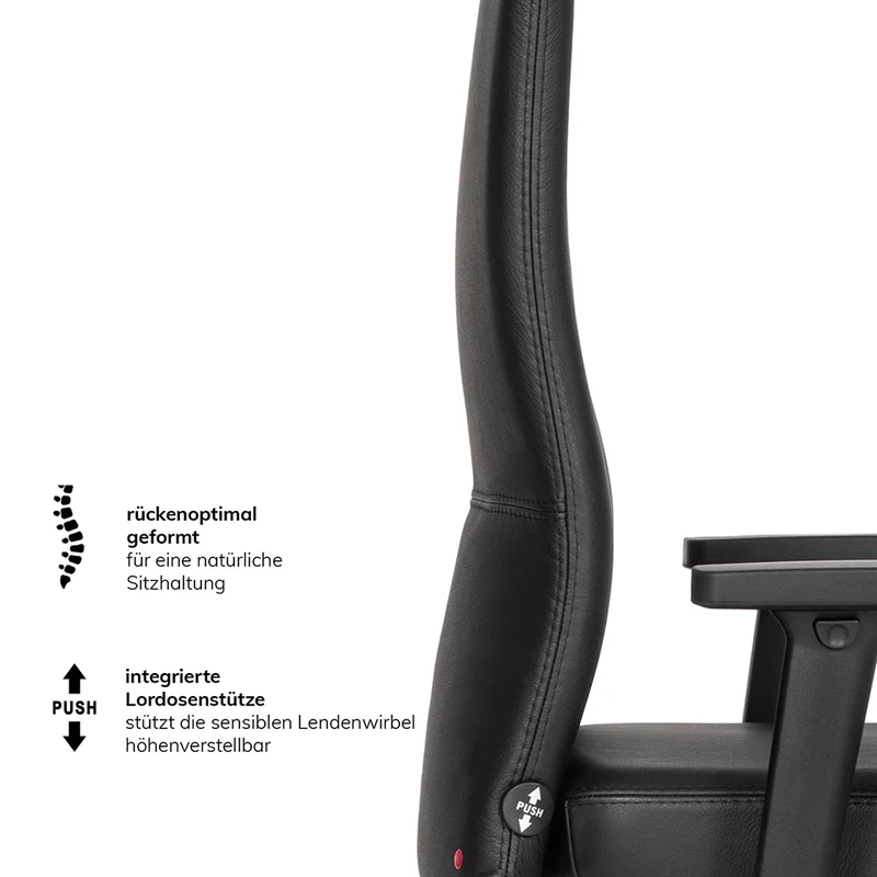 Ergonomischer Bürostuhl Agilis AG10 | Comfort | Leder