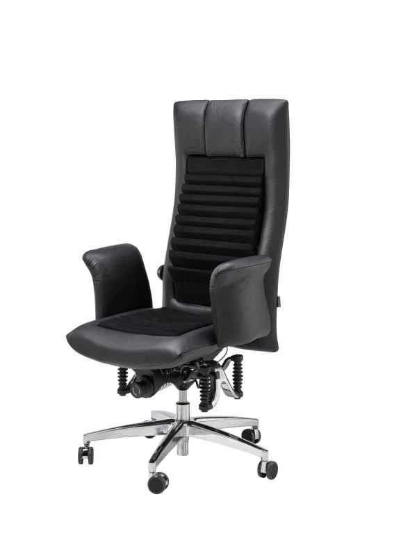 Bioswing 780 IQ Leder Detensor Bestseller