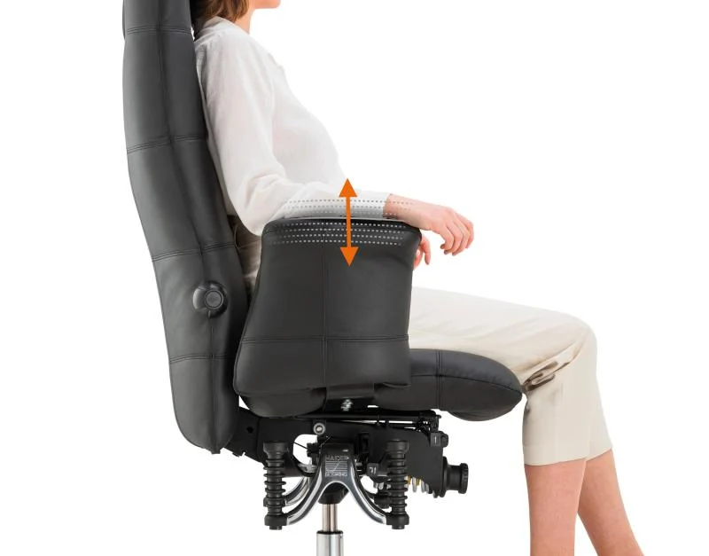 Bioswing 780 IQ Leder Detensor Bestseller