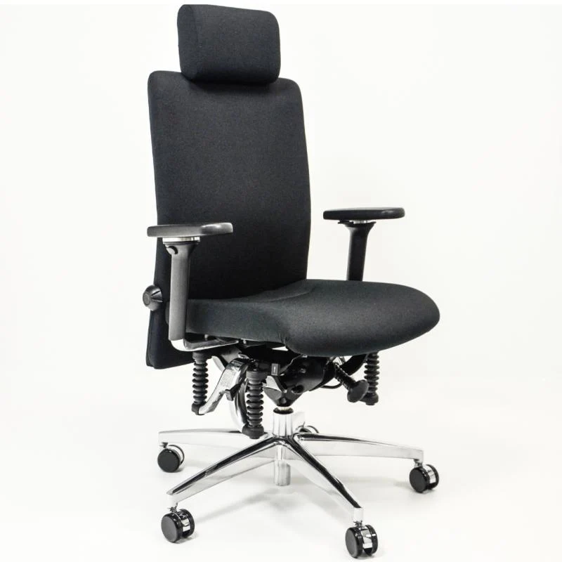 Bürostuhl Haider Bioswing 360 iQ Hausstuhl mit Nackenstütze, Beckenbalance und Gestell Alu poliert