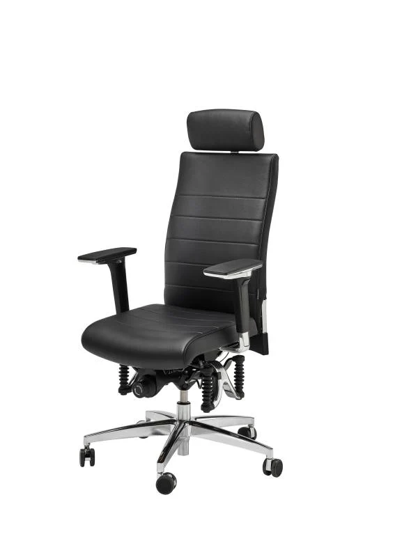 Bioswing 660 IQ Bestseller/Dick-Leder