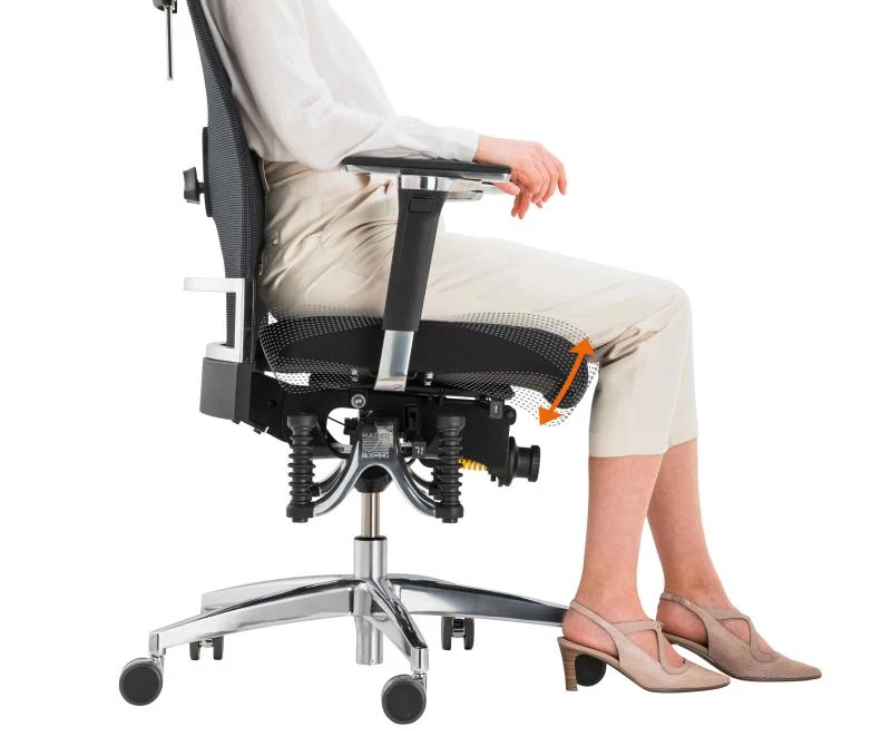 Bioswing 660 IQ Bestseller/Dick-Leder