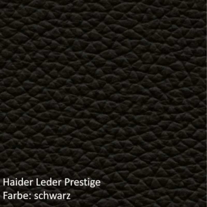 Bioswing 560 IQ Bestseller/Dick-Leder