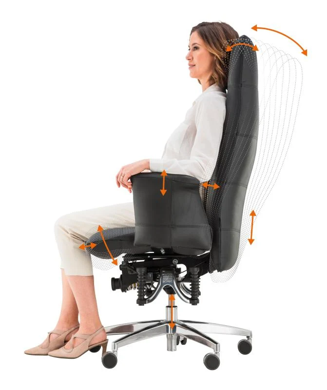 Bioswing 780 Bestseller/Dick-Leder