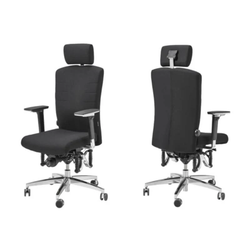 Bioswing 560 IQ-Bestseller / / Hausstuhl