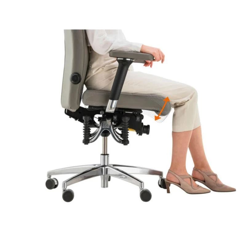 Bioswing 560 IQ-Bestseller / / Hausstuhl