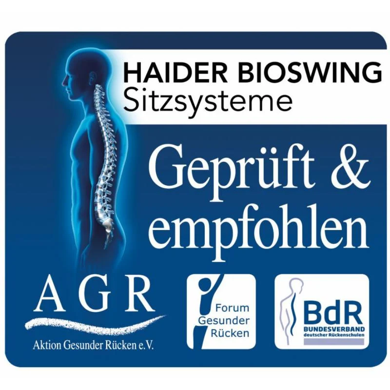 Bioswing 560 IQ-Bestseller / / Hausstuhl