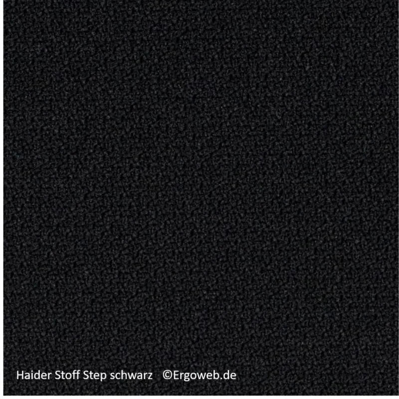 Bioswing 560 IQ-Bestseller / / Hausstuhl