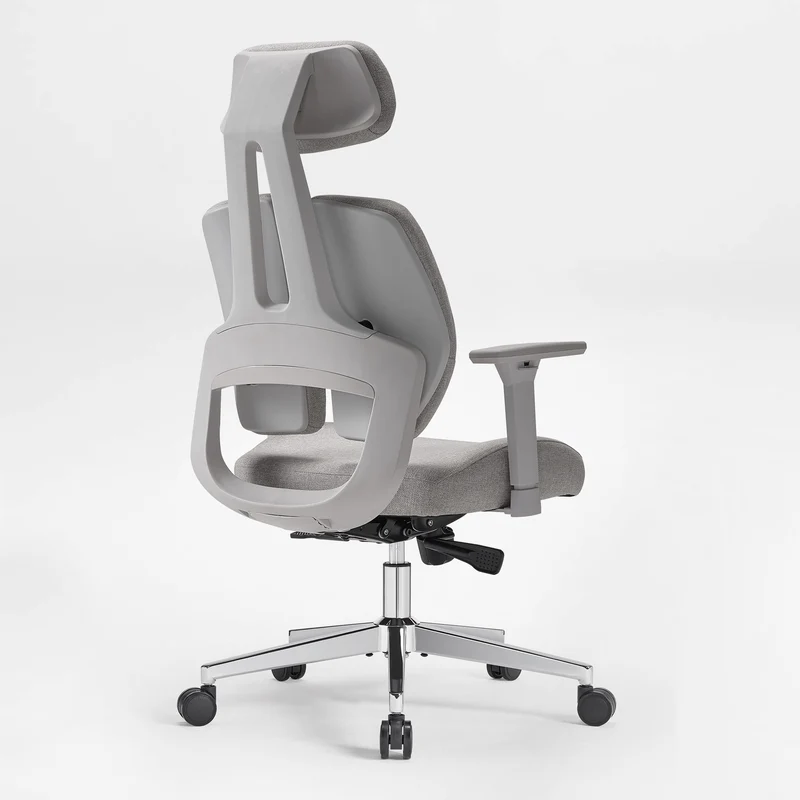 Divio,Dual-Backrests Ergonomic Office Chair