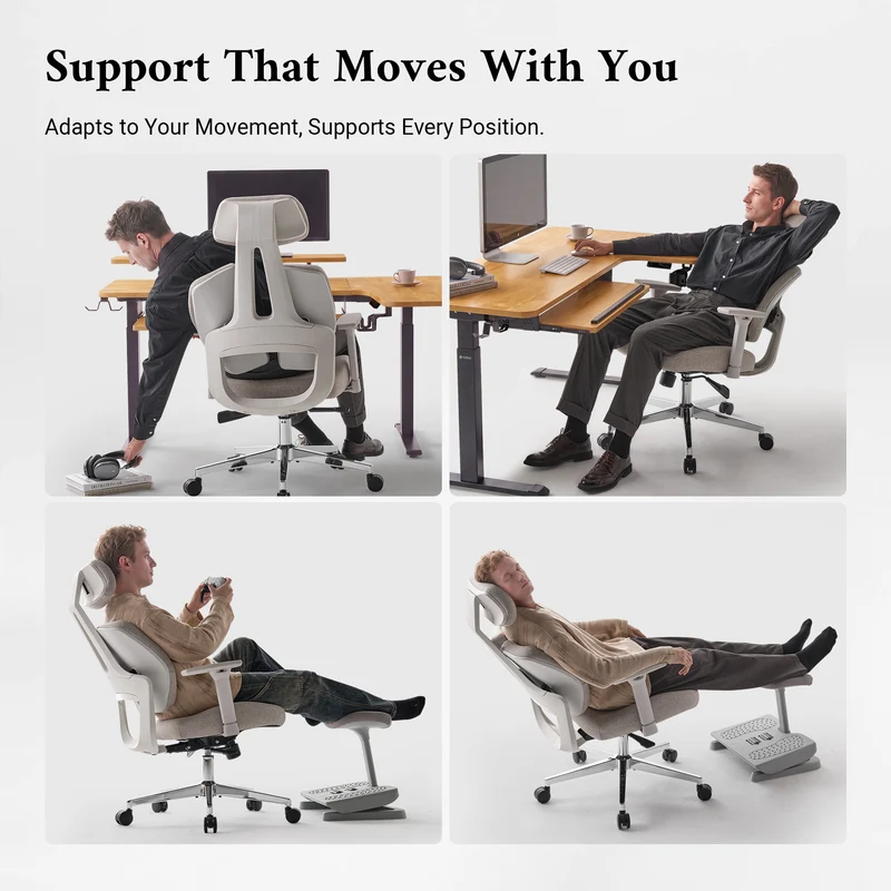 Divio,Dual-Backrests Ergonomic Office Chair