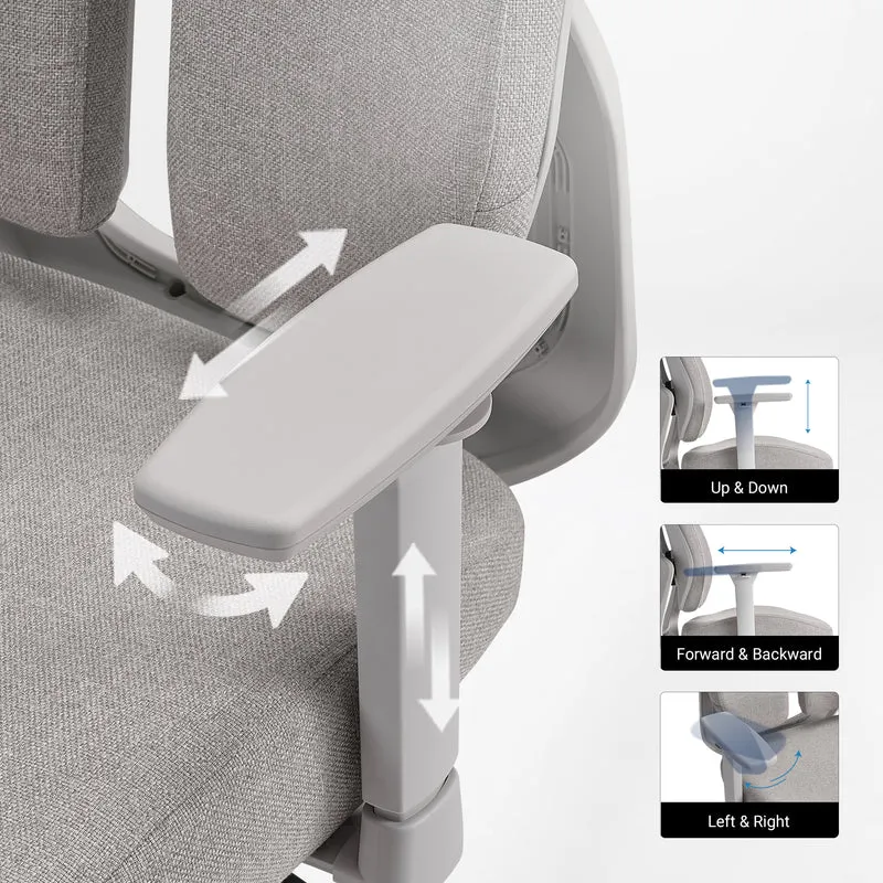 Divio,Dual-Backrests Ergonomic Office Chair