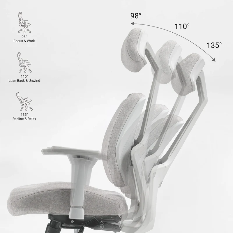 Divio,Dual-Backrests Ergonomic Office Chair