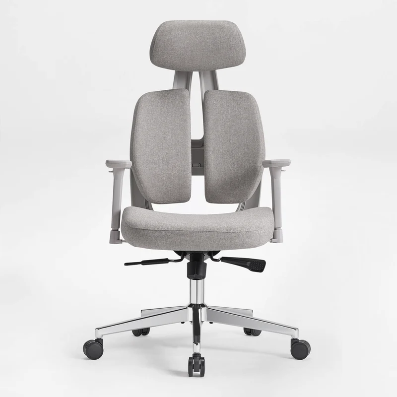 Divio,Dual-Backrests Ergonomic Office Chair