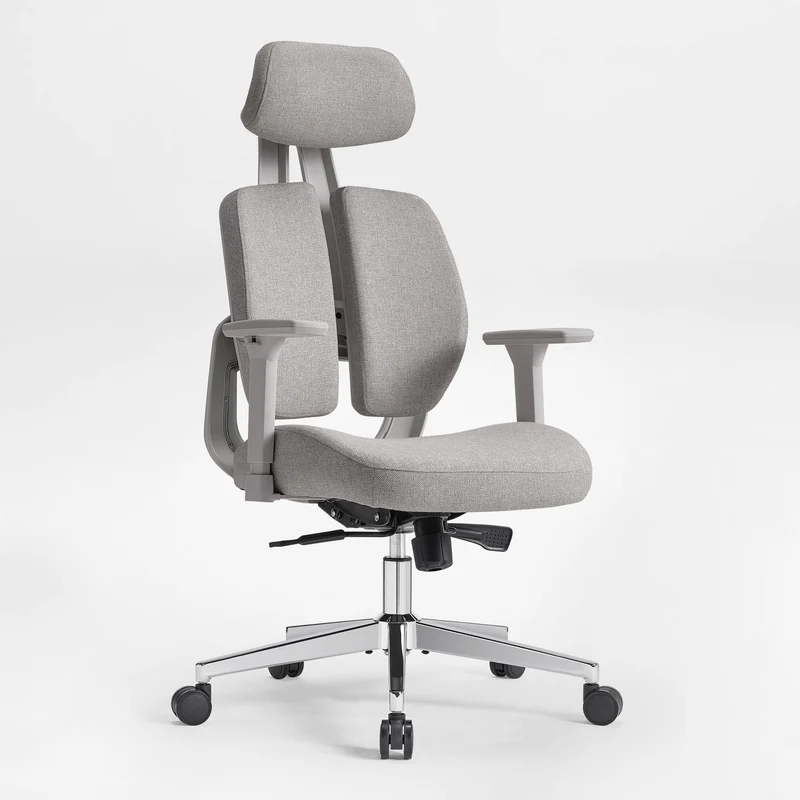 Divio,Dual-Backrests Ergonomic Office Chair