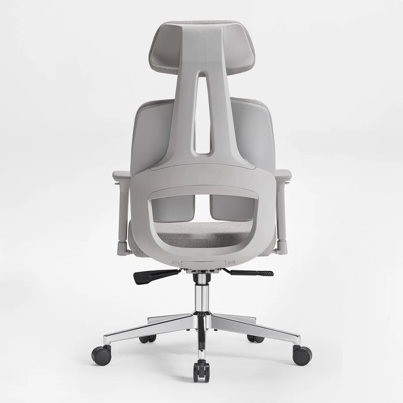 Divio,Dual-Backrests Ergonomic Office Chair