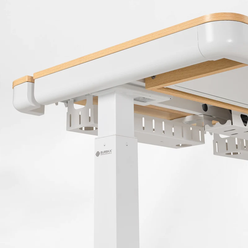 Prime Electric Standing Desk with RGB Lighting (55"x34")