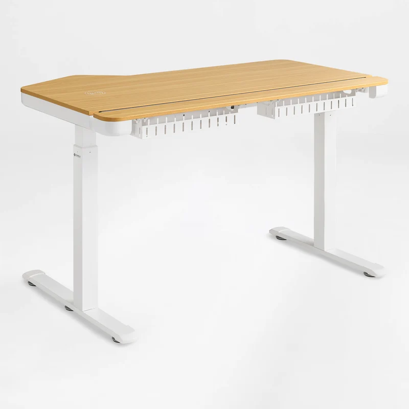 Prime Electric Standing Desk with RGB Lighting (55"x34")