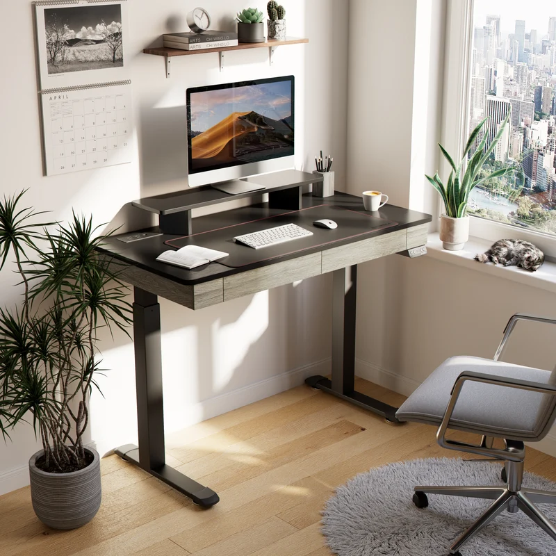 Standing Desk with Drawers, Wood Finish (47''/55'')