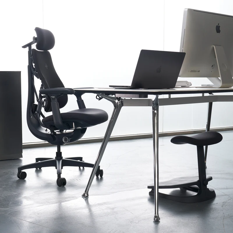 LiberNovo Omni, Ergonomic Office Chair