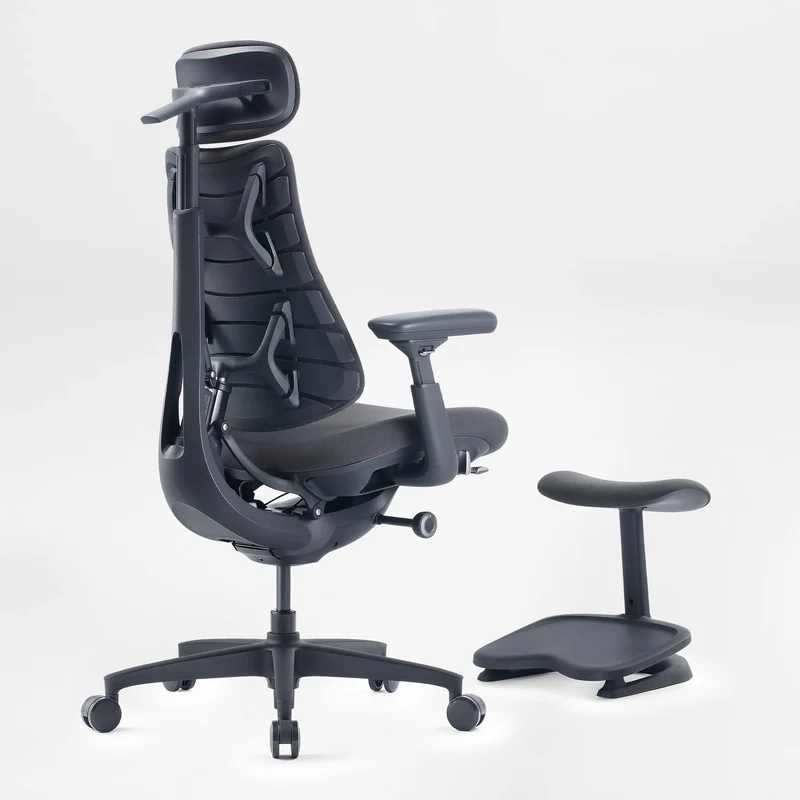LiberNovo Omni, Ergonomic Office Chair