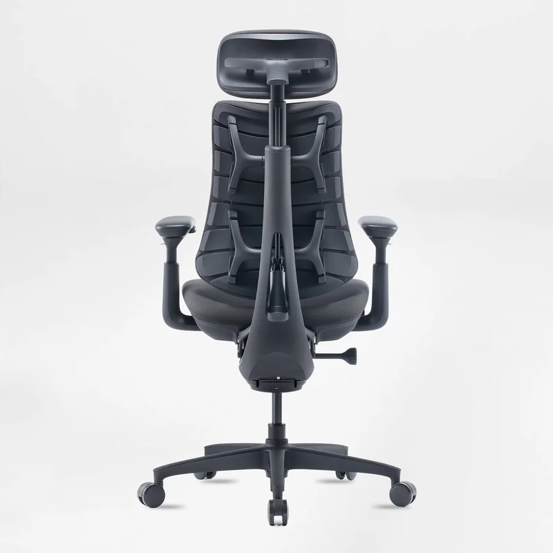 LiberNovo Omni, Ergonomic Office Chair