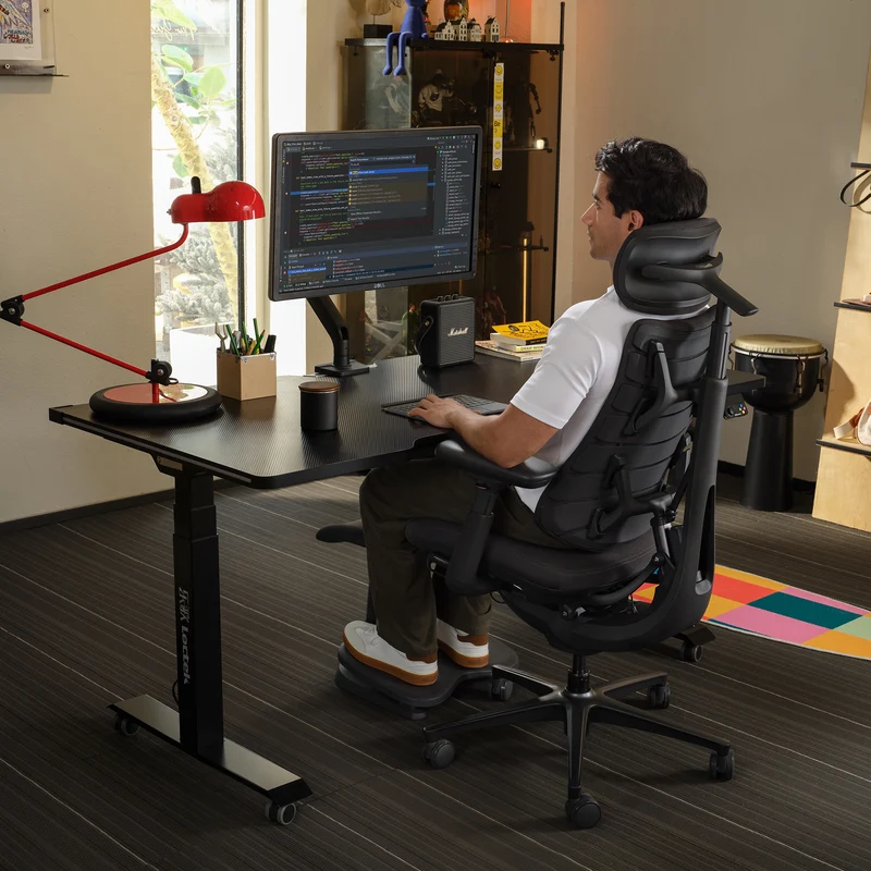 LiberNovo Omni, Ergonomic Office Chair