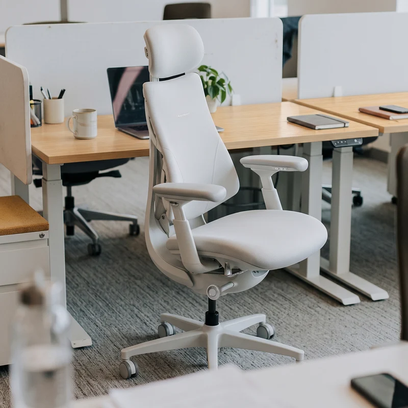 LiberNovo Omni, Ergonomic Office Chair
