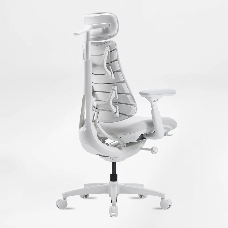 LiberNovo Omni, Ergonomic Office Chair