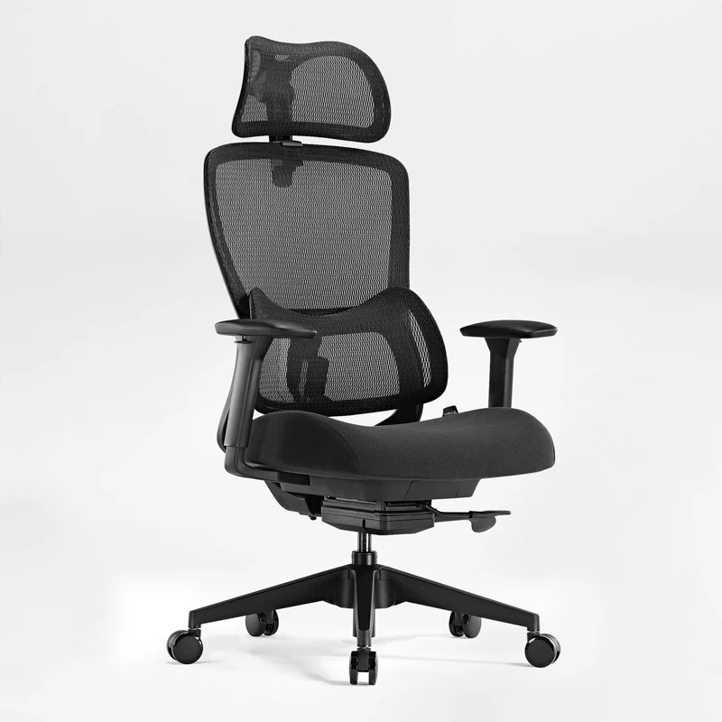 Lark, Adjustable Lumbar Ergonomic Office Chair