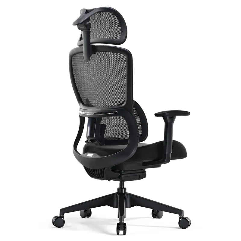 Lark, Adjustable Lumbar Ergonomic Office Chair