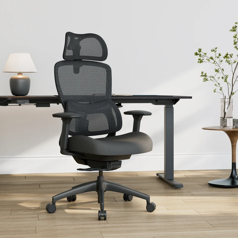 Lark, Adjustable Lumbar Ergonomic Office Chair