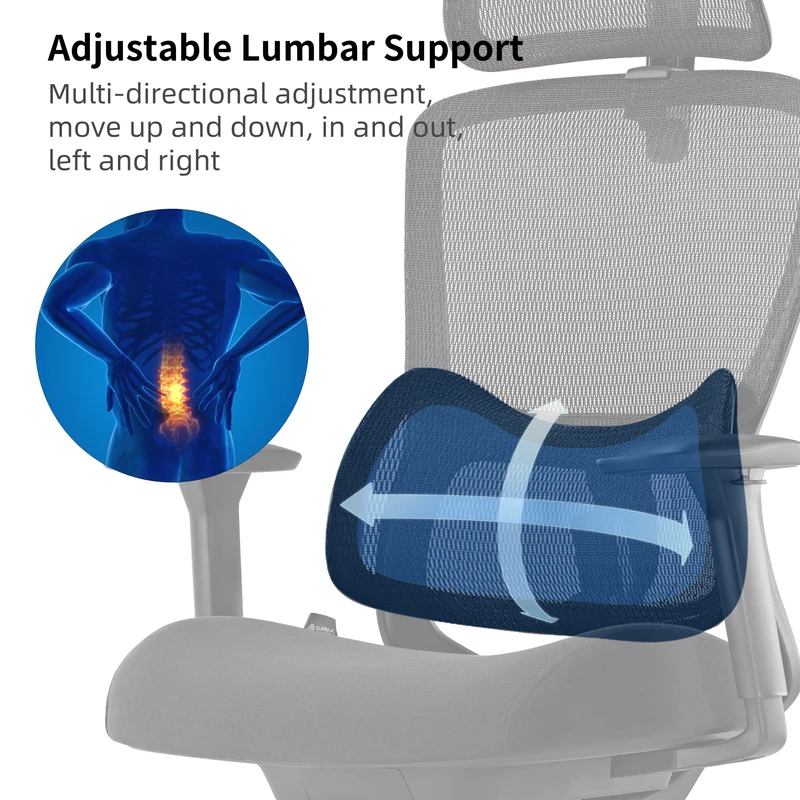 Lark, Adjustable Lumbar Ergonomic Office Chair