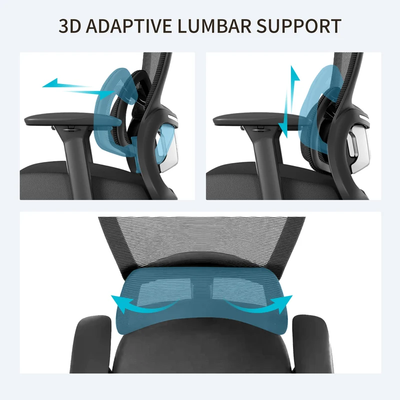 Lark, Adjustable Lumbar Ergonomic Office Chair