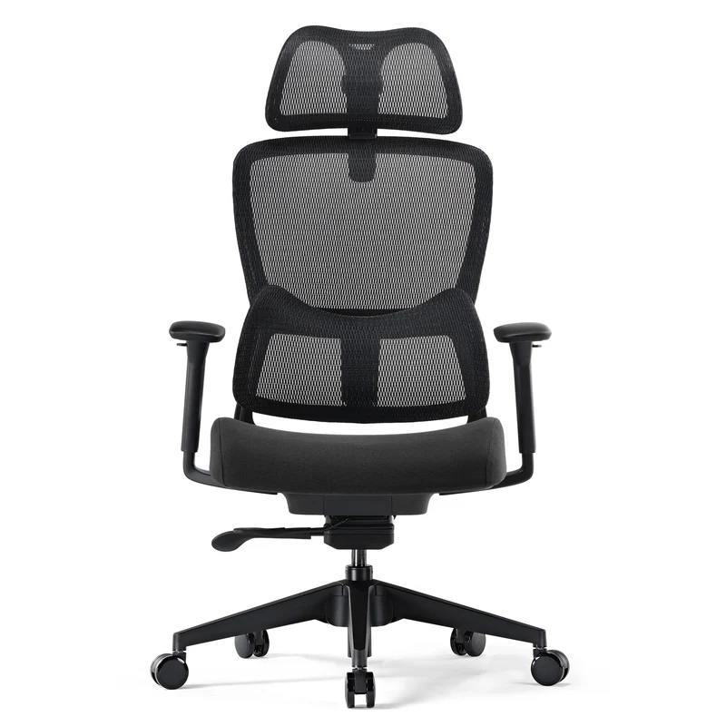 Lark, Adjustable Lumbar Ergonomic Office Chair