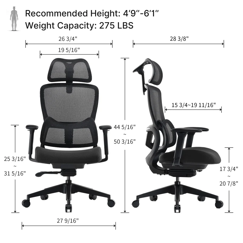 Lark, Adjustable Lumbar Ergonomic Office Chair