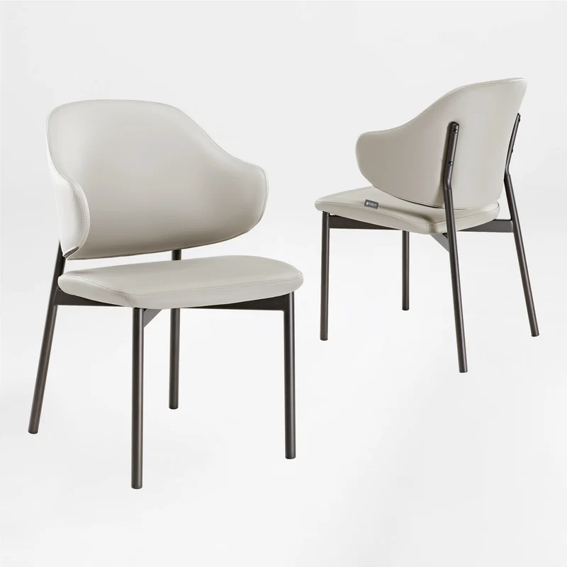 Noble, Upholstered Dining Side Chairs Set of 2, Gray