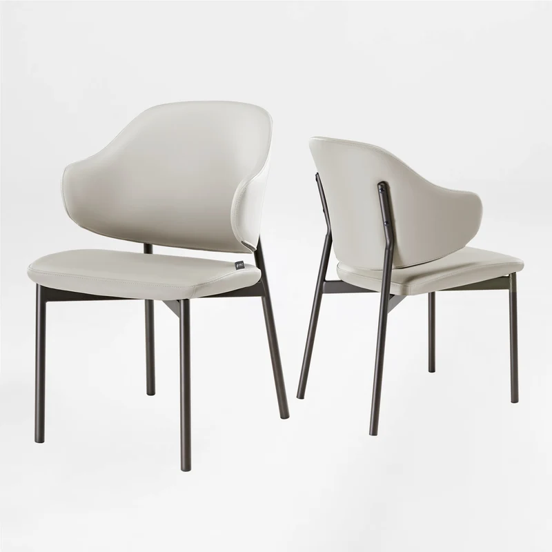 Noble, Upholstered Dining Side Chairs Set of 2, Gray