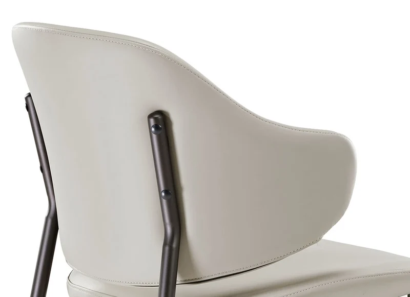 Noble, Upholstered Dining Side Chairs Set of 2, Gray