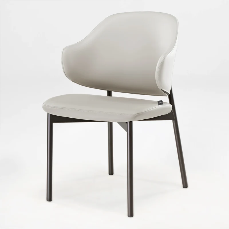 Noble, Upholstered Dining Side Chairs Set of 2, Gray