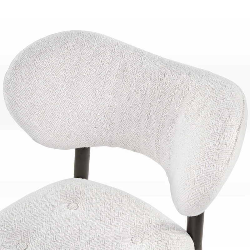 Nibbles, Upholstered Dining Side Chairs Set of 2, White