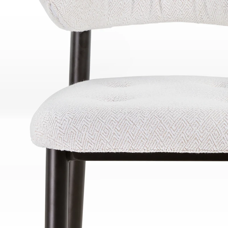 Nibbles, Upholstered Dining Side Chairs Set of 2, White