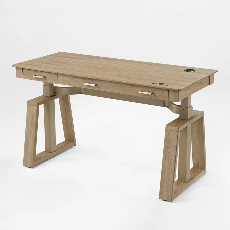 Executive Office Set: Ark EL Standing Desk, Chair & Storage